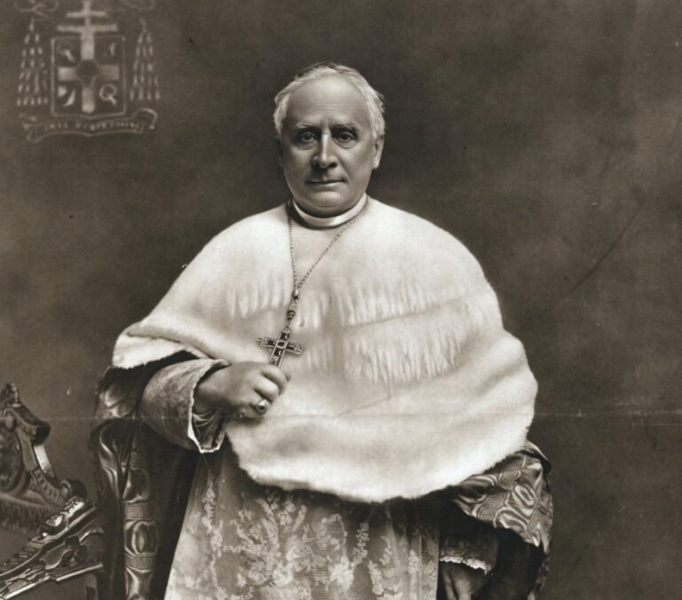 Cardinal John Farley, Archbishop of New York